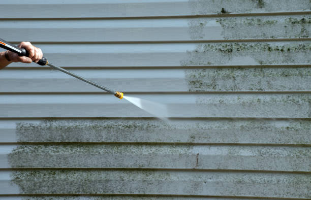 Mold Testing and Removal in Siler City, NC